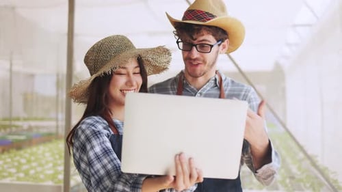 Farmers Using Laptop in Greenhouse Looking at Crops