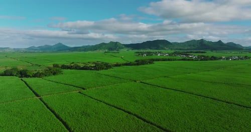 Aerial View of Green Fields and Distant Mountains