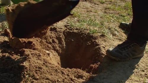 Closeup of a Man Digging a Hole with a Shovel for Planting a Tree in the Park