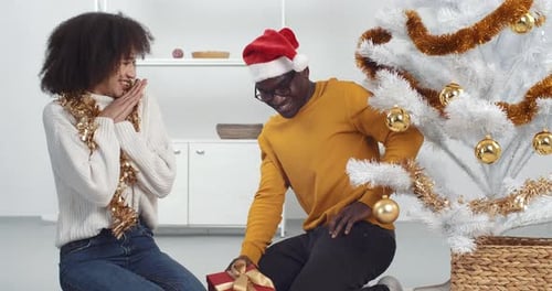 Christmas Gift Giving and Affectionate Holiday Celebration