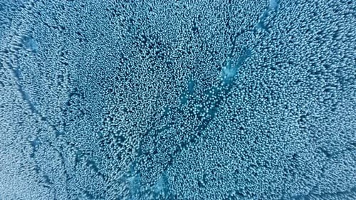Nature Flying above frozen trees. Top view of Blue Winter forest. Snow covered Spruce and Pine