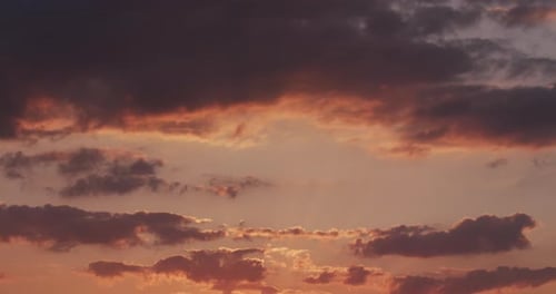 Timelapse de pájaros, nubes rosadas al atardecer