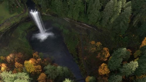 Aerial view looking down at waterfall surrounded by forest