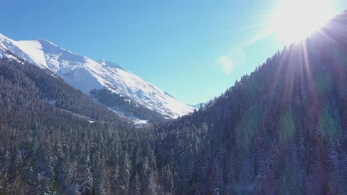 Aerial View of Snow Covered Mountains and Forest