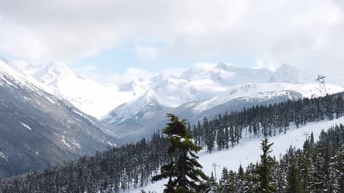 Snowy Forest on Top of the Mountains in Winter During Sunny Morning