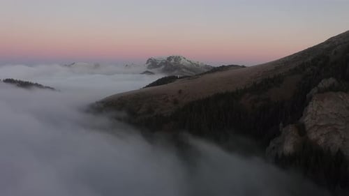 Mountain Forest At High Altitude Flooded With Clouds