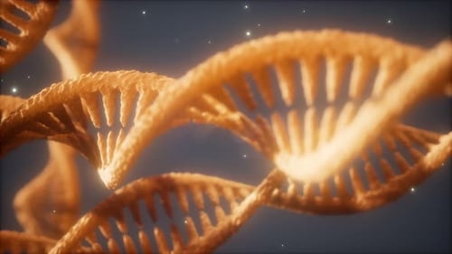 Double Helical Structure of Dna Strand Close-up Animation