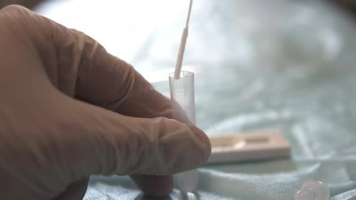 The doctor makes a rapid PCR test for the antigen of the covid-19 virus.