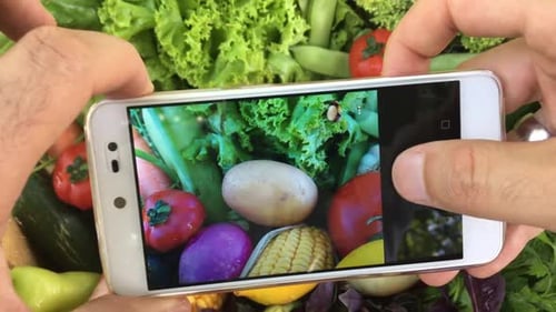 Taking Photo of Fresh Vegetables With Smartphone