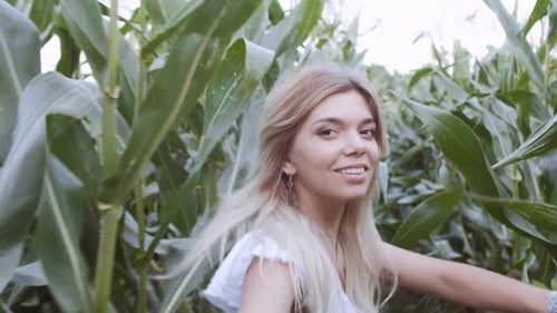 Woman Walking Through Cornfield on Sunny Day