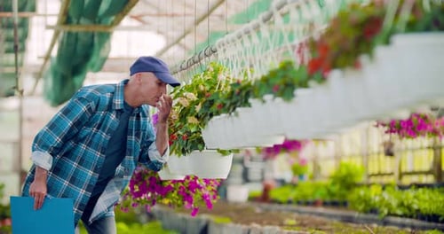 Agriculture Confident Male Gardener Examining Potted Flower Plant