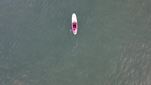 Man doing sport, paddle board, at seaside, aerial view