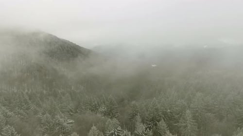 Winterwald durch die Wolken