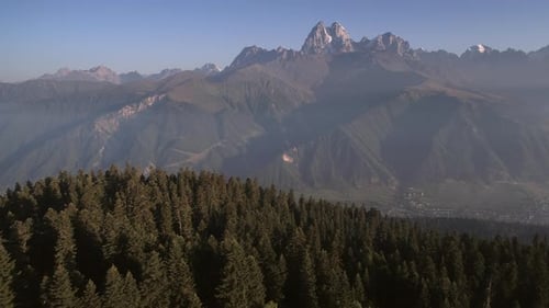 Luftaufnahme. An einem sonnigen Morgen über den grünen Wald im Mountain Valley fliegen.