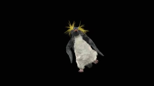 Penguin Dancing HD