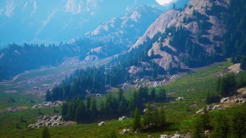 Winding Road in the Mountains with Pine Forest