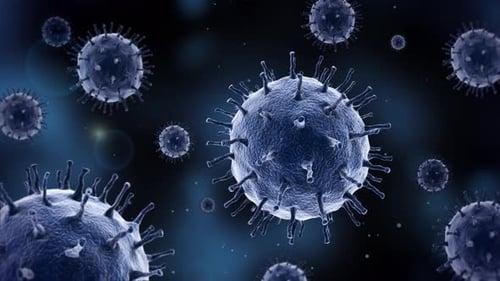 Virus