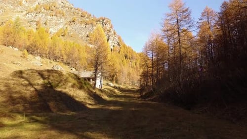 POV Walking on Fall Woods Path Near Trees and Lodge