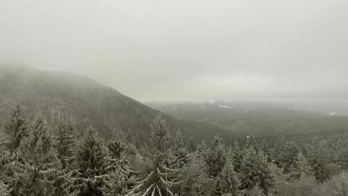 Winterwald durch die Wolken