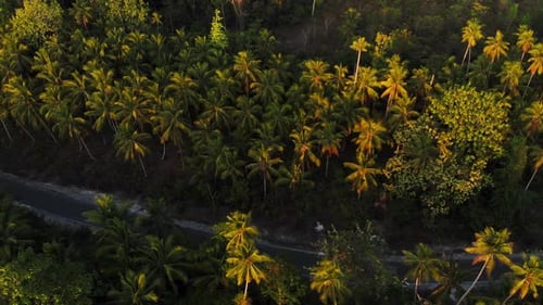 Aerial: uncontaminated white sand beach sunset at Kei Islands Indonesia
