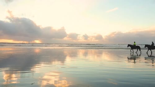 People riding horses on the beach at sunset