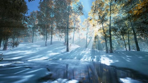 La neige tombe dans une forêt en boucle 4K