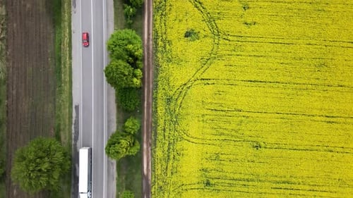 Road with cars through field aerial view of spring rapeseed flower field