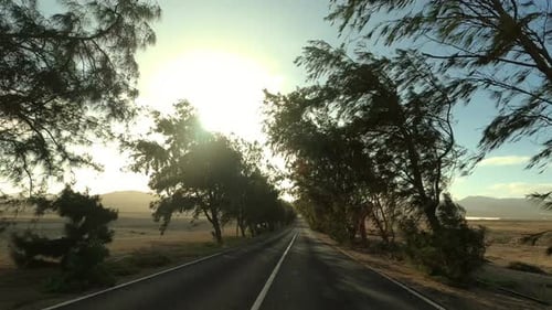 Long way asphalt straight road from ground pov. Vehicle driving and traveling outdoors concept.