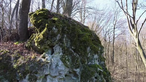 Ensemble d'un monastère troglodyte dans la forêt de Krehiv