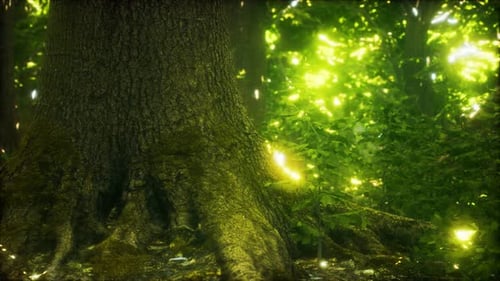 The Primeval Forest with Mossed Ground