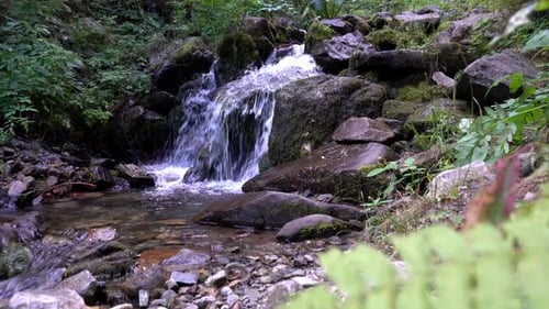 Une petite cascade dans une forêt de montagne