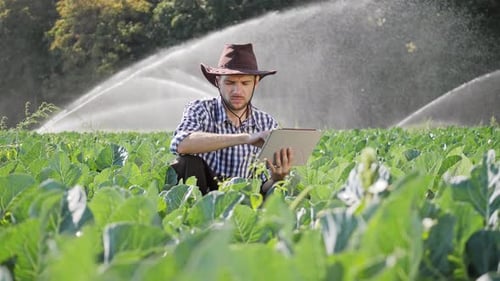 Farmer Using Digital Tablet During Monitoring His Plantation