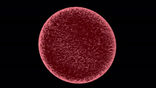 3D Rotating Red Blood Cell Realistic Animation