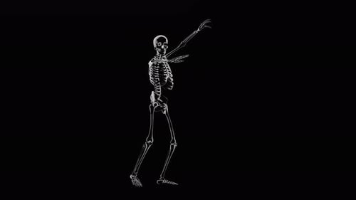 Dancing Skeleton X-Ray Style Loop Animation for Halloween