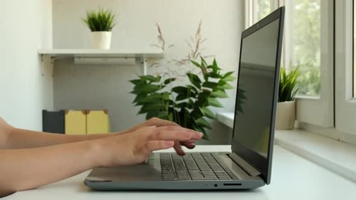 Female Hands of Business Woman Typing on Laptop Notebook Keyboard Sit at Home Office Desk Working