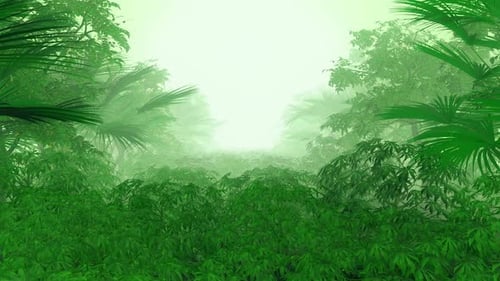 Animated Journey Through Misty Green Jungle Forest
