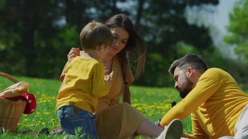 Family Picnic in a Sunny Green Meadow
