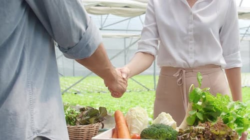 Asian businesswoman farmer shakhand with hispanic man buyer successful for selling.