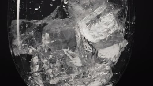 Ice Cubes in a Glass