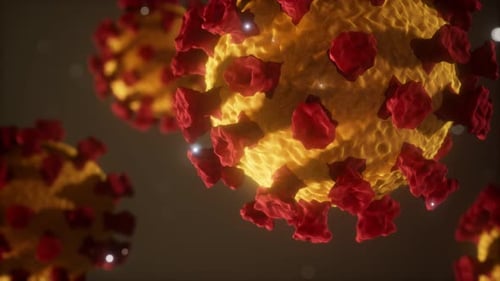Coronavirus COVID-19 Medical Model