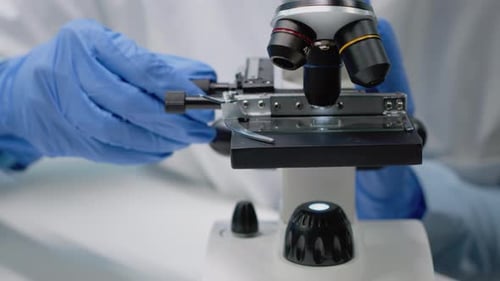 Close Up of Specialist Hands Using Microscope Tool