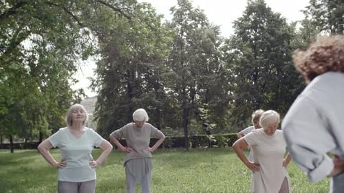Senior Citizens Enjoying Outdoor Fitness Class in Park