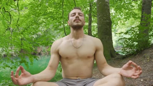 Relaxing, resting in the forest.