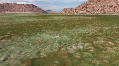 Mountain Pastures of Mongolia