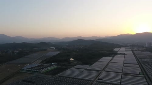Sunrise Over Rural Greenhouse Agricultural Landscape Aerial