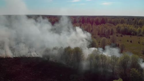 Barbecue As the Cause of Wildfires
