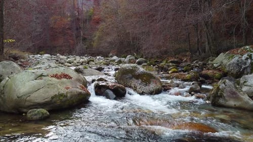 Autumn river in mountain, fall forest trees foliage aerial view