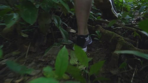 Shoes Walking In Forest