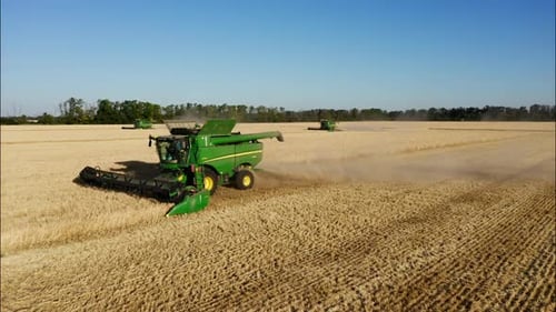 Combine Harvesting Wheat Top View of a Wheatfield