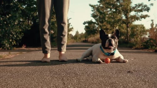 Woman with Dog Walk in Park